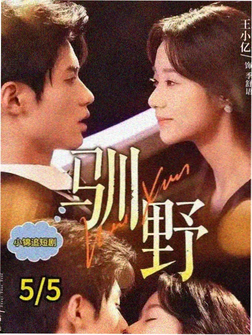 半泽直树 日剧夫妻推荐